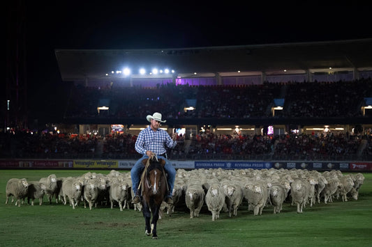 Stockman's Profile - Murray Wilkinson