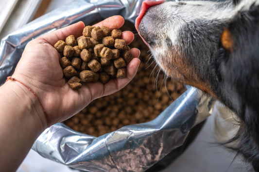 Reading a Dog Food Bag