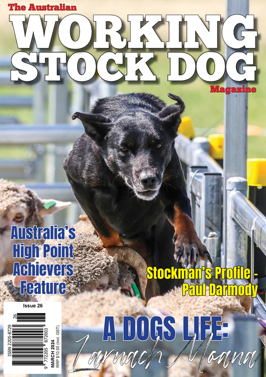 Issue 26, March 2024