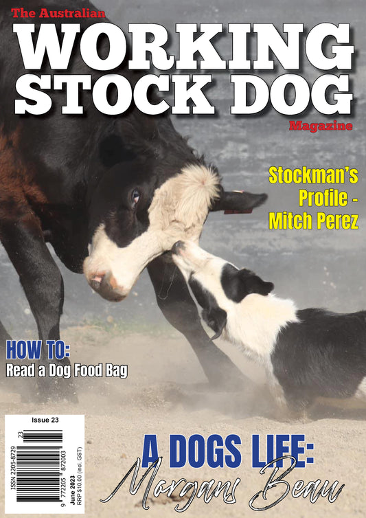 Issue 23 - June 2023