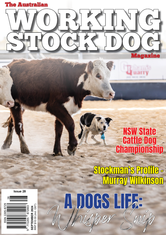 Issue 28, September 2024