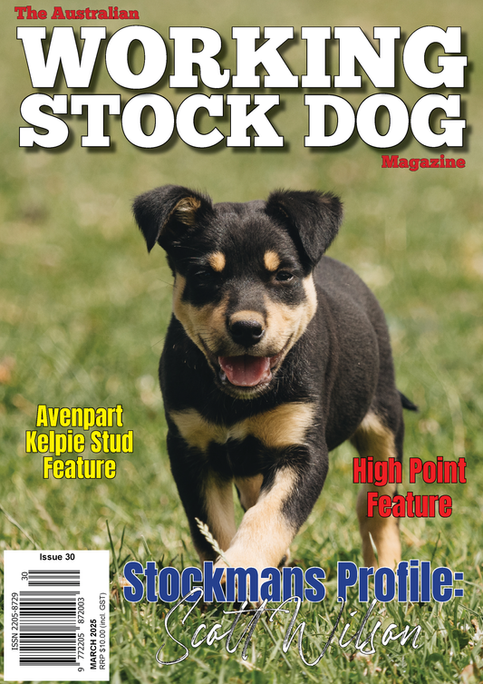 Issue 30, March 2025