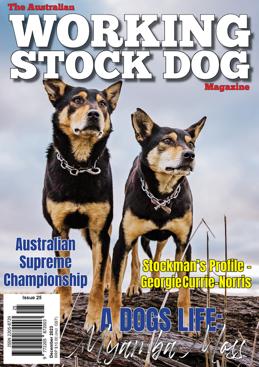 Issue 25, December 2023