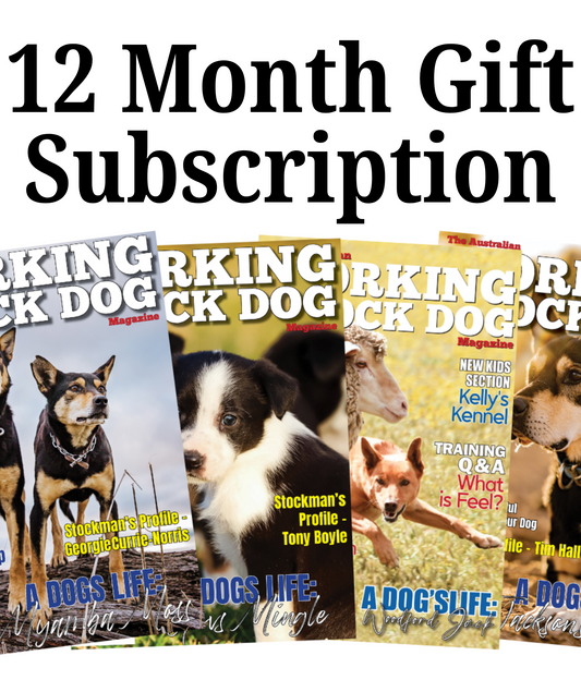 AWSDM 12 Month Gift Subscription