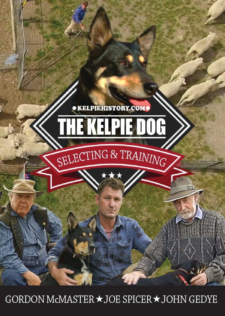 Kelpie informati s shops