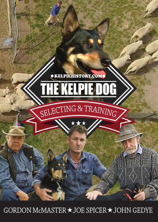 The Kelpie Dog - Selecting and Training