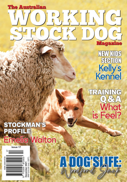 Issue 17 - December 2021