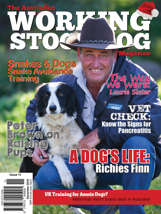 Issue 11 - December 2019