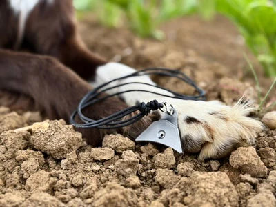 Logan TRIBUTE Titanium Sheepdog Whistle