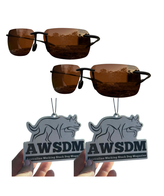 AWSDM Rimless Polarised Sunglasses 2-Pack + 2 Air Fresheners Bundle