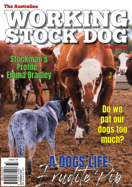 Issue 33, December 2025