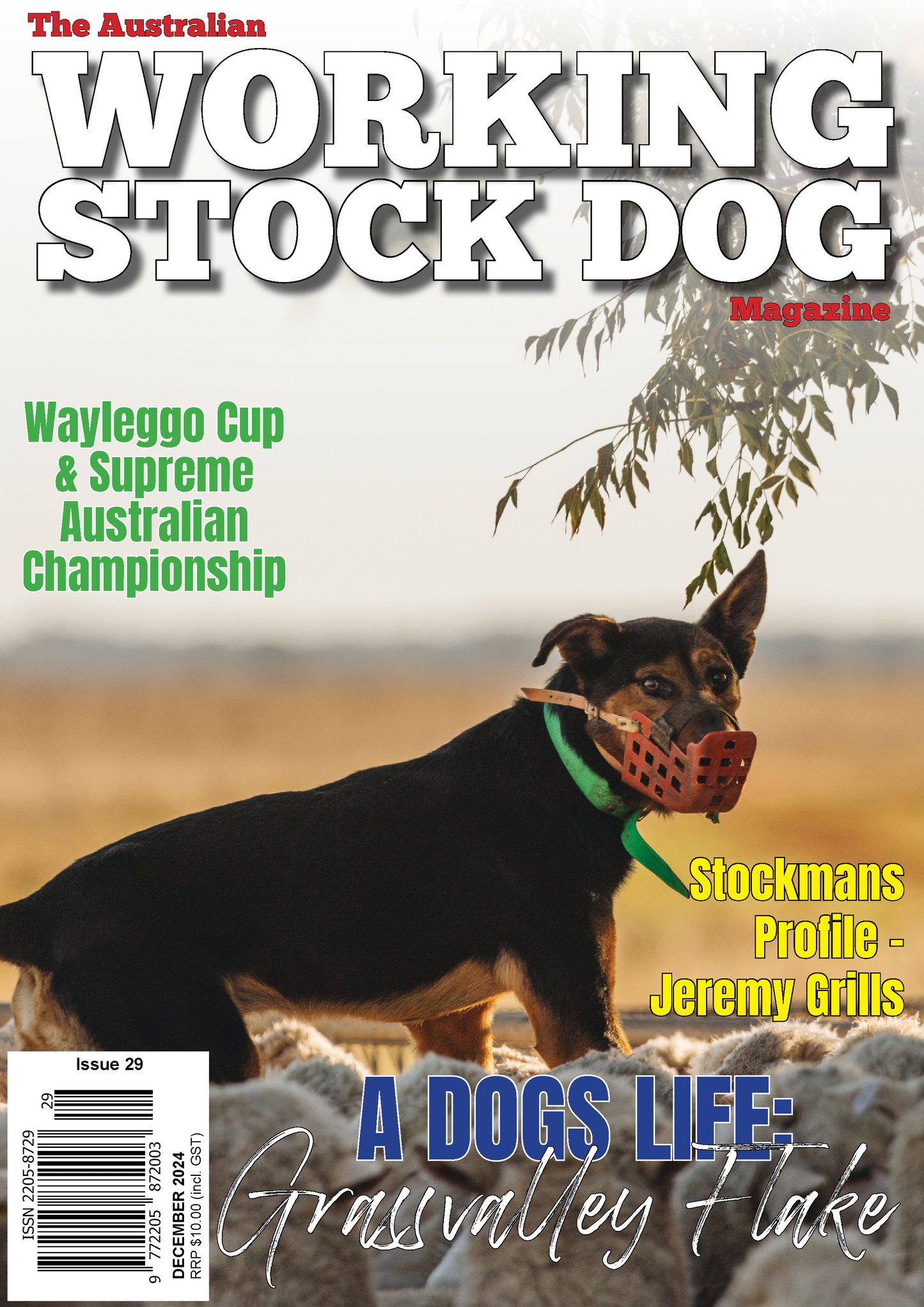 Issue 29, December 2024