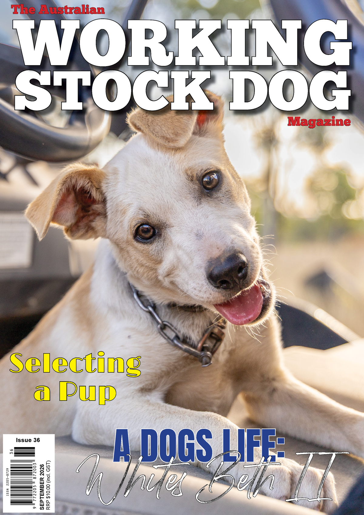 Issue 36, September 2026