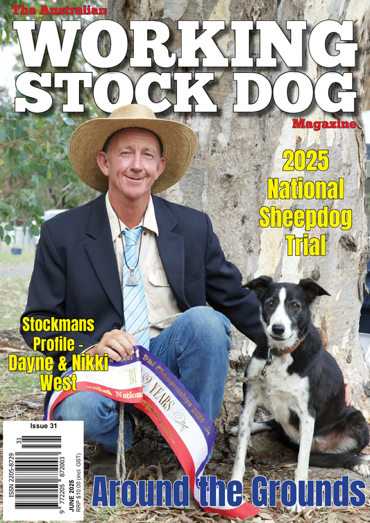 Issue 31, June 2025