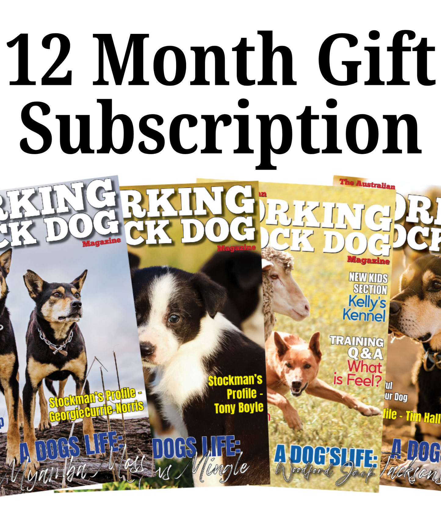 AWSDM 12 Month Gift Subscription