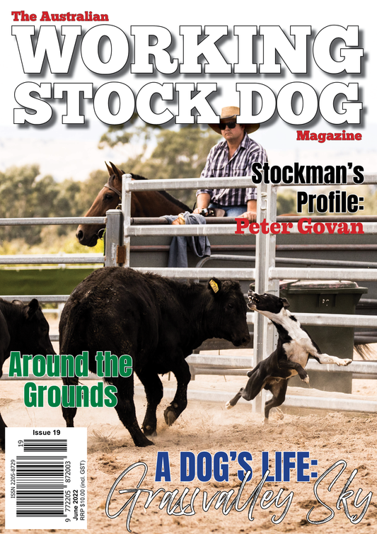 Issue 19 - June 2022