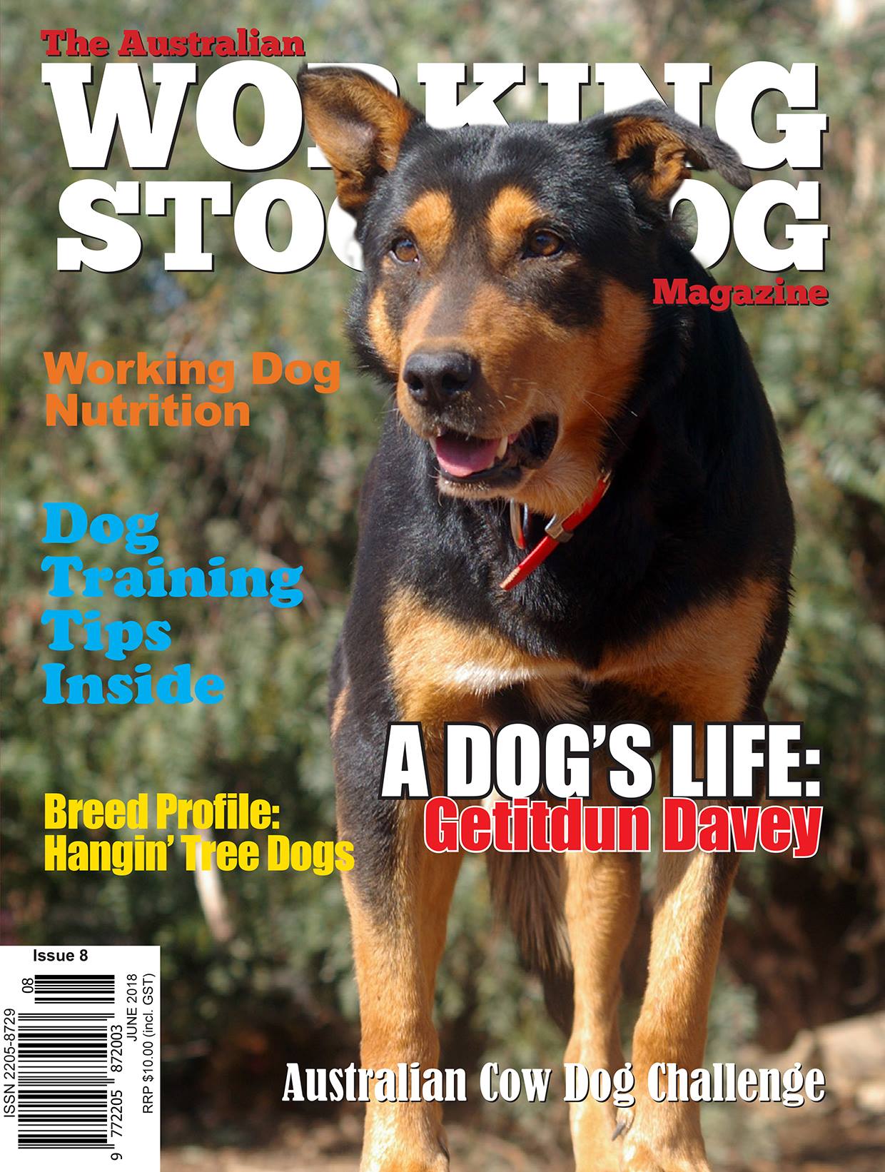 Issue 8 - December 2017