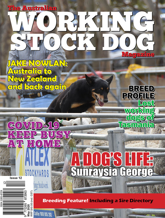 Issue 12 - May 2020 - Digital Version Only